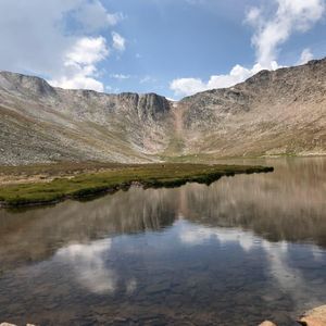 Meet your Posher, Dorian rose